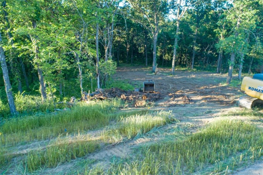 Listing Photo MLS #HMS2498082