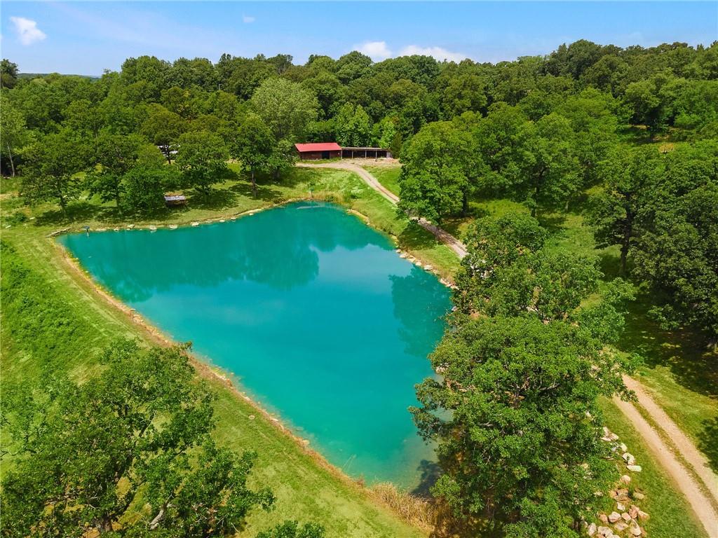 Listing Photo MLS #HMS2503275