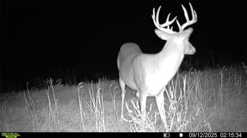 Listing Photo MLS #HMS2515703