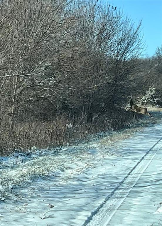 Listing Photo MLS #HMS2531425