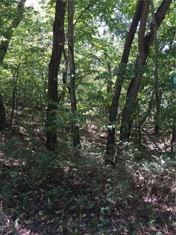 Listing Photo MLS #HMS2532470