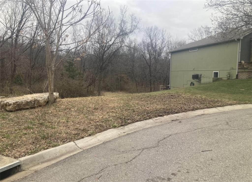 Listing Photo MLS #HMS2536290