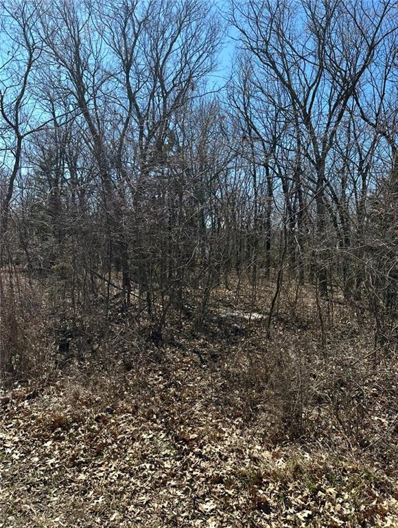 Listing Photo MLS #HMS2539058