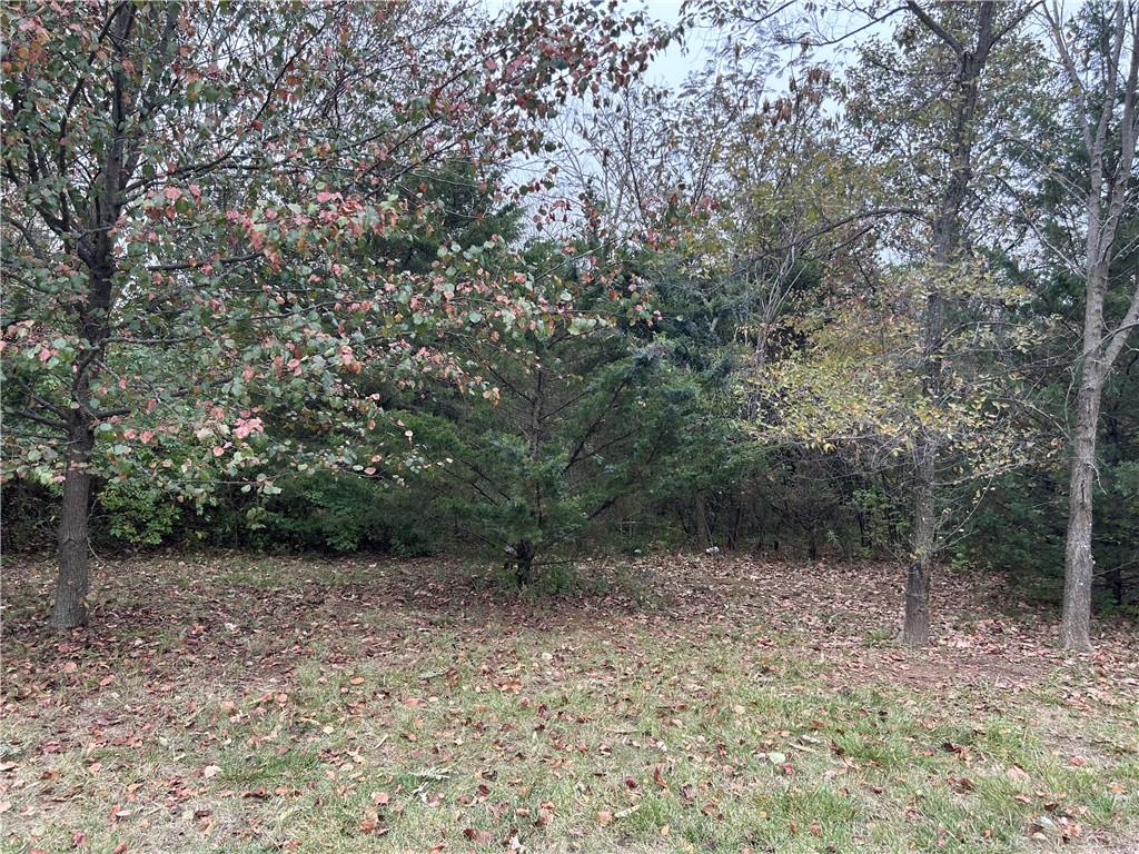 Listing Photo MLS #HMS2539589