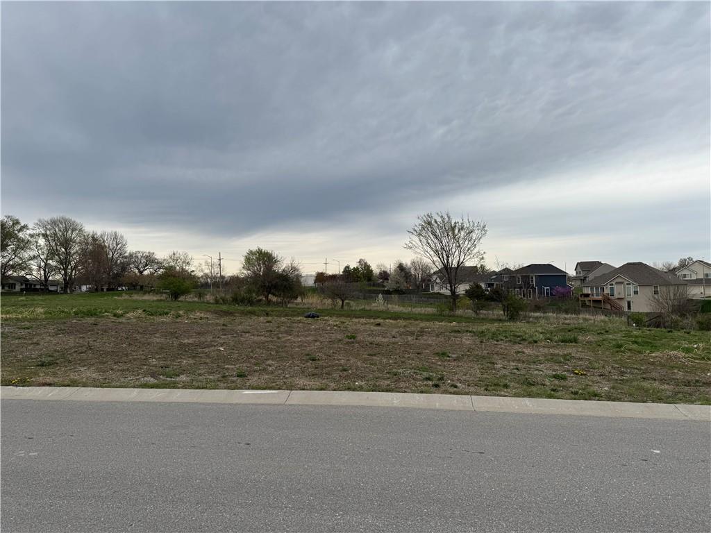 Listing Photo MLS #HMS2541384