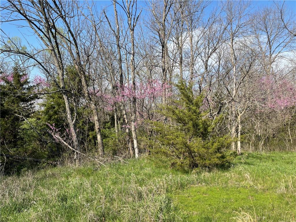 Listing Photo MLS #HMS2543171