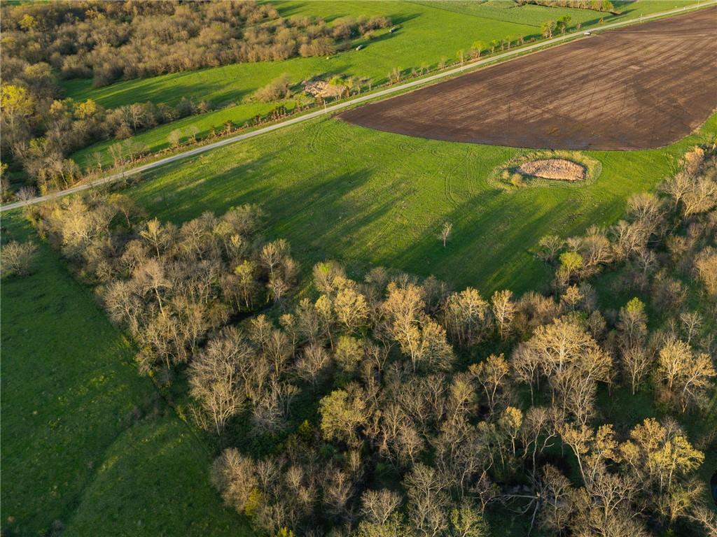 Listing Photo MLS #HMS2545628