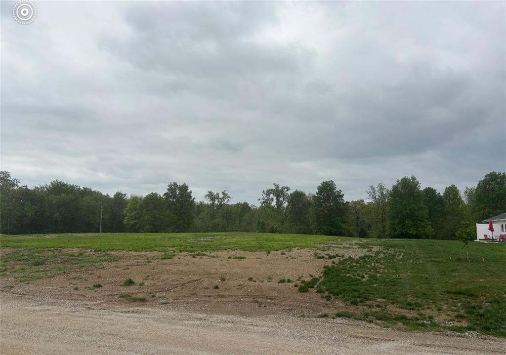 Listing Photo MLS #HMS2546267