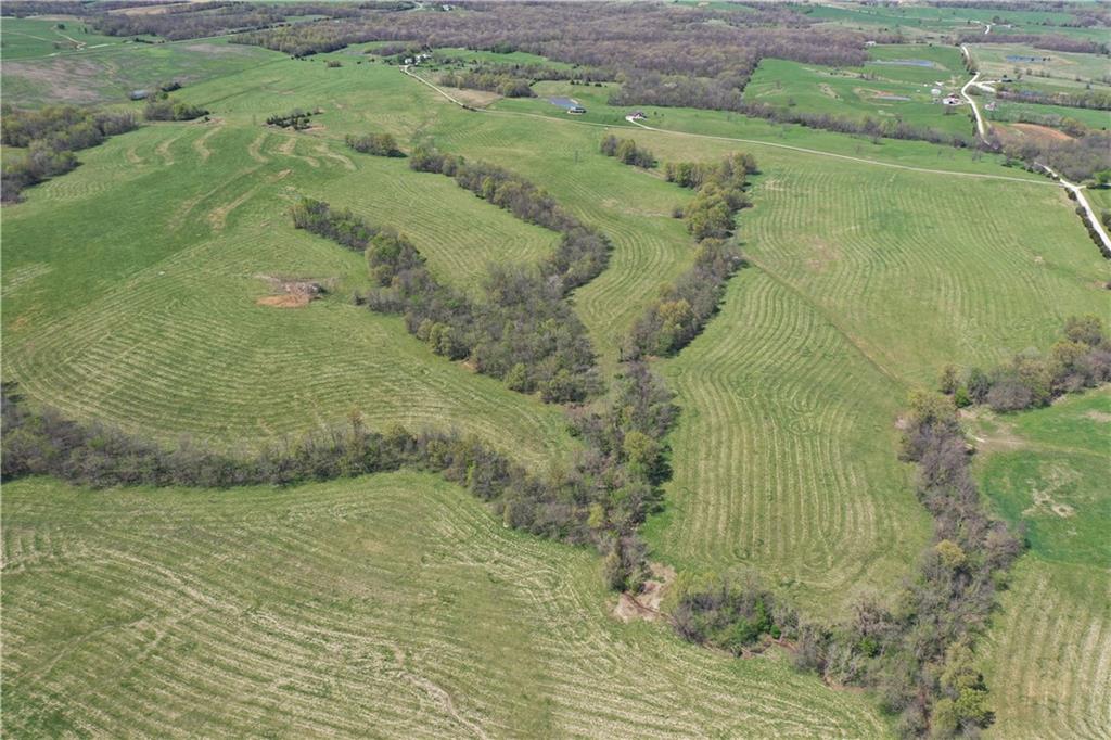 Listing Photo MLS #HMS2549151