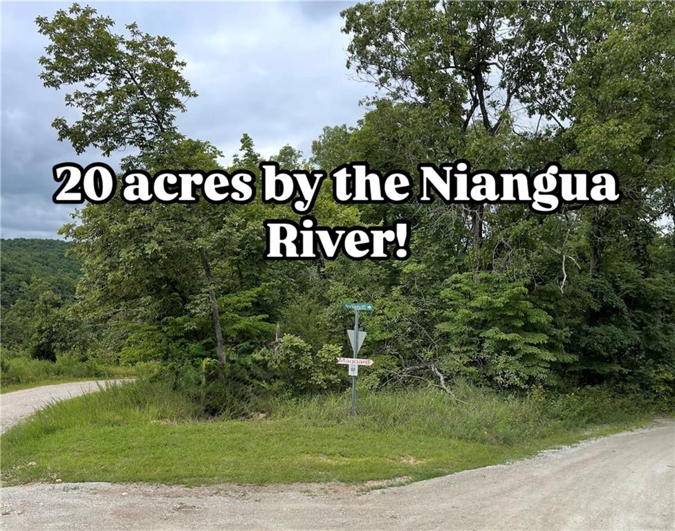 Listing Photo MLS #HMS2549621