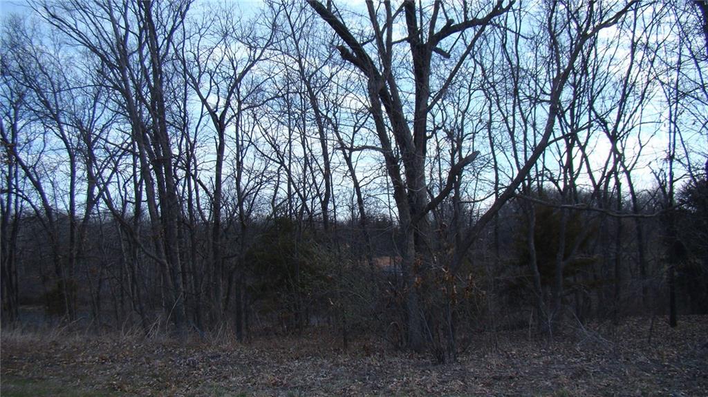 Listing Photo MLS #HMS2551827