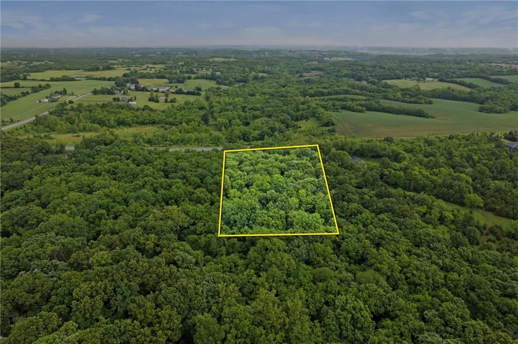 Listing Photo MLS #HMS2553077