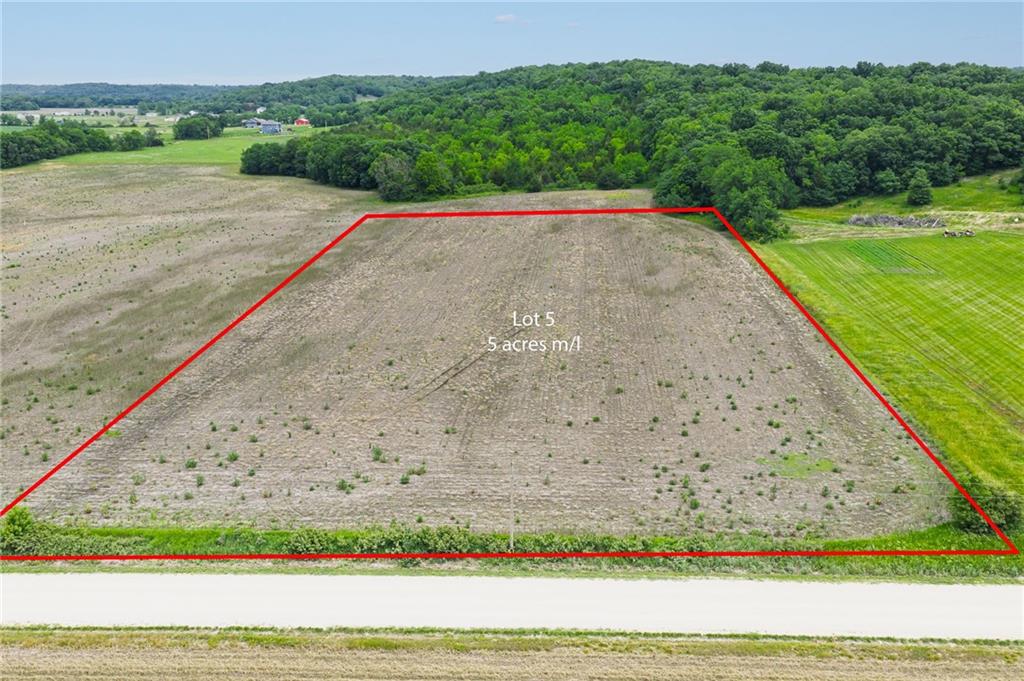 Listing Photo MLS #HMS2556382