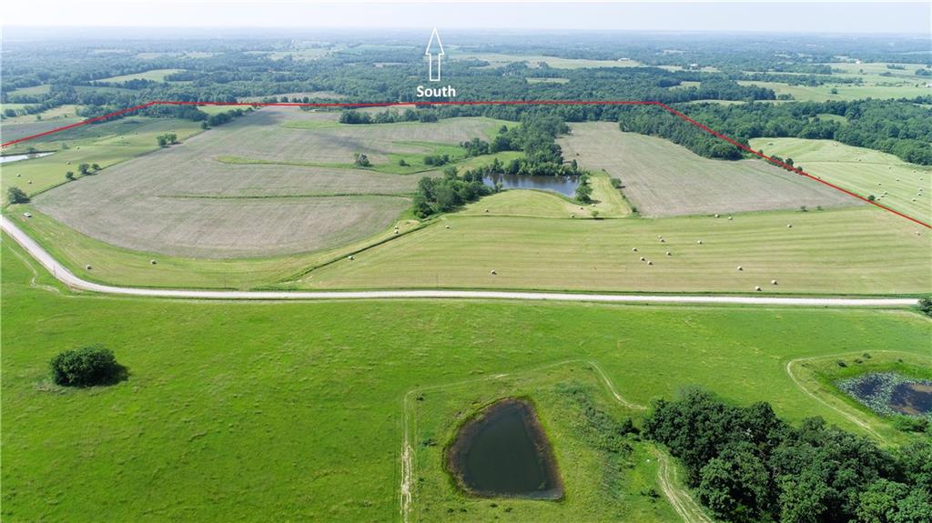 Listing Photo MLS #HMS2557441