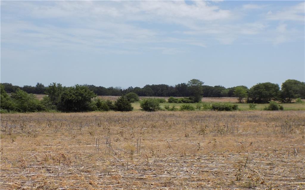 Listing Photo MLS #HMS2559257