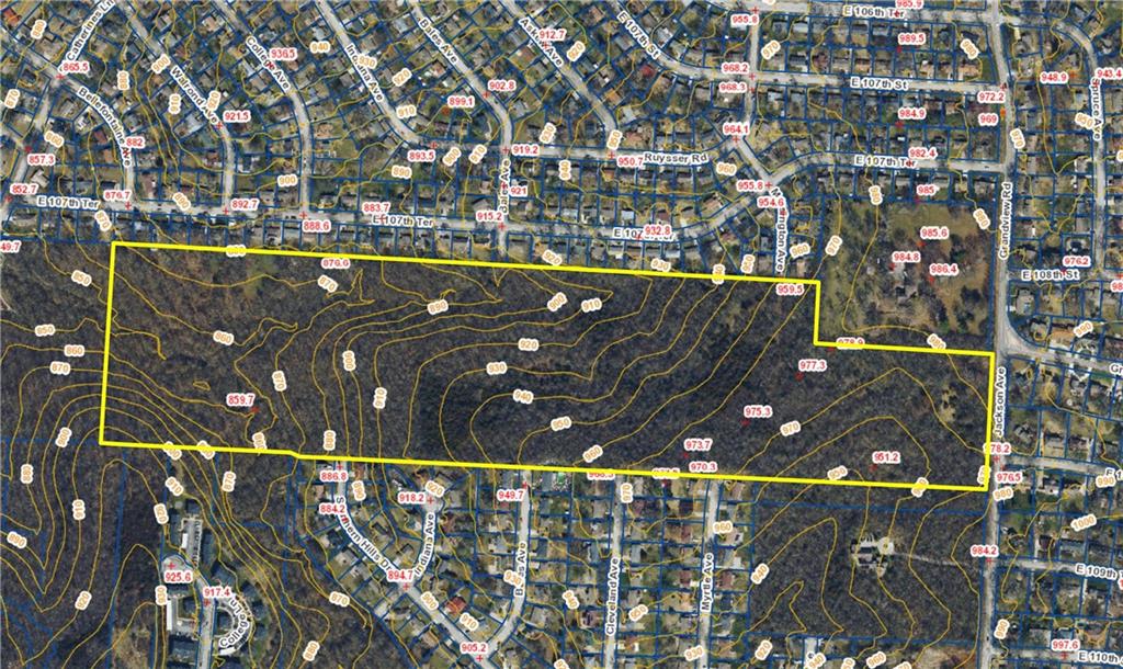 Listing Photo MLS #HMS2560205