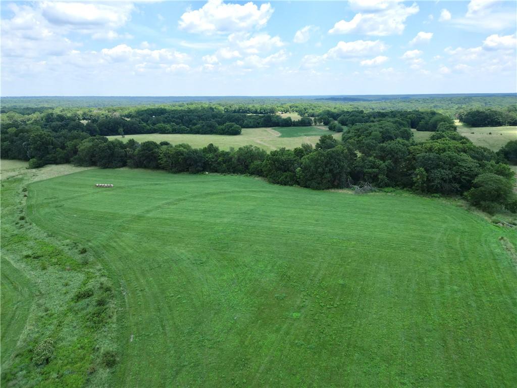 Listing Photo MLS #HMS2560250