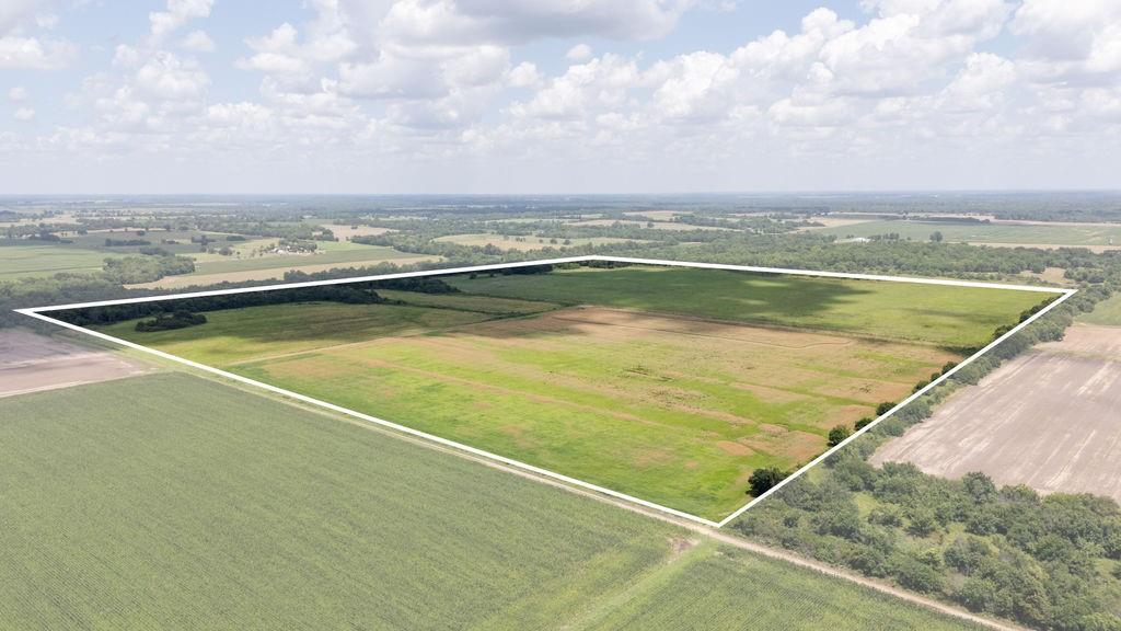 Listing Photo MLS #HMS2562599