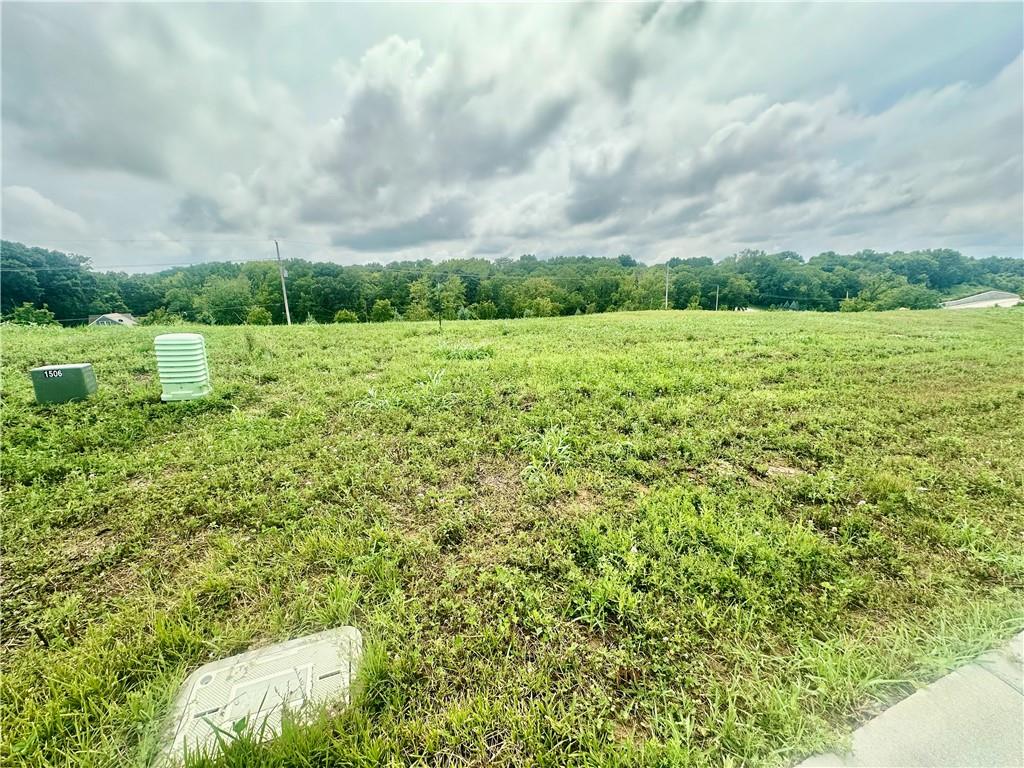 Listing Photo MLS #HMS2563829