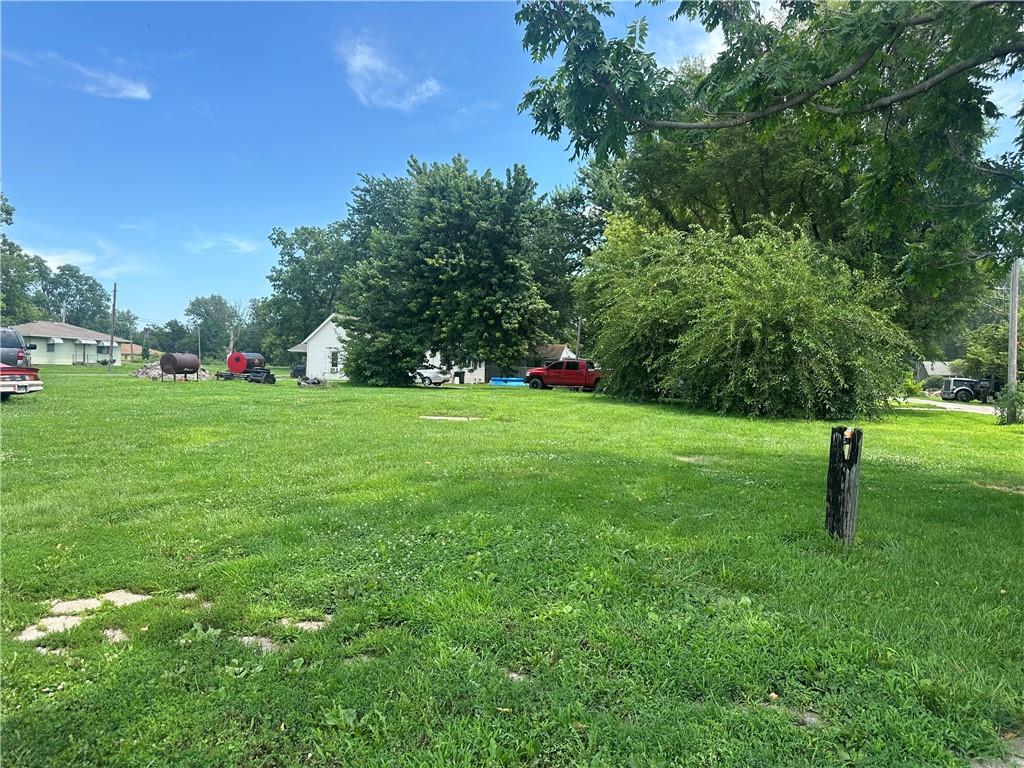 Listing Photo MLS #HMS2564762