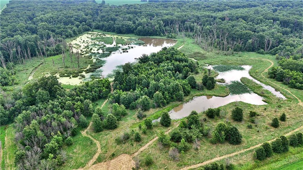 Listing Photo MLS #HMS2565633