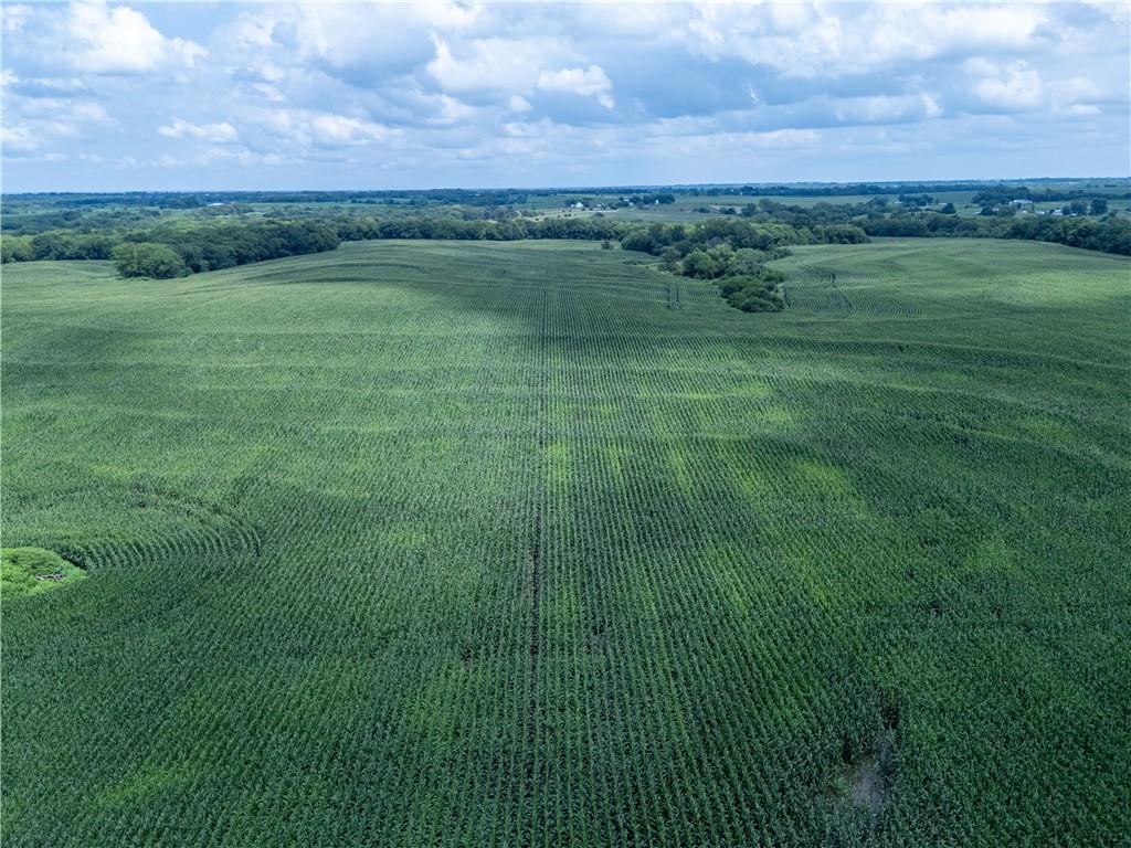 Listing Photo MLS #HMS2565638