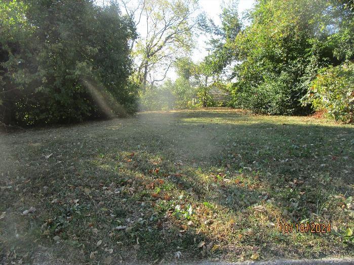 Listing Photo MLS #HMS2568002