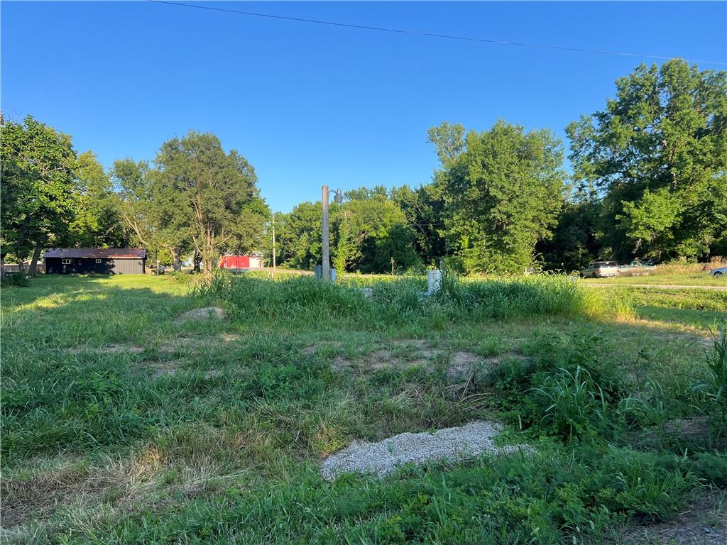 Listing Photo MLS #HMS2568954