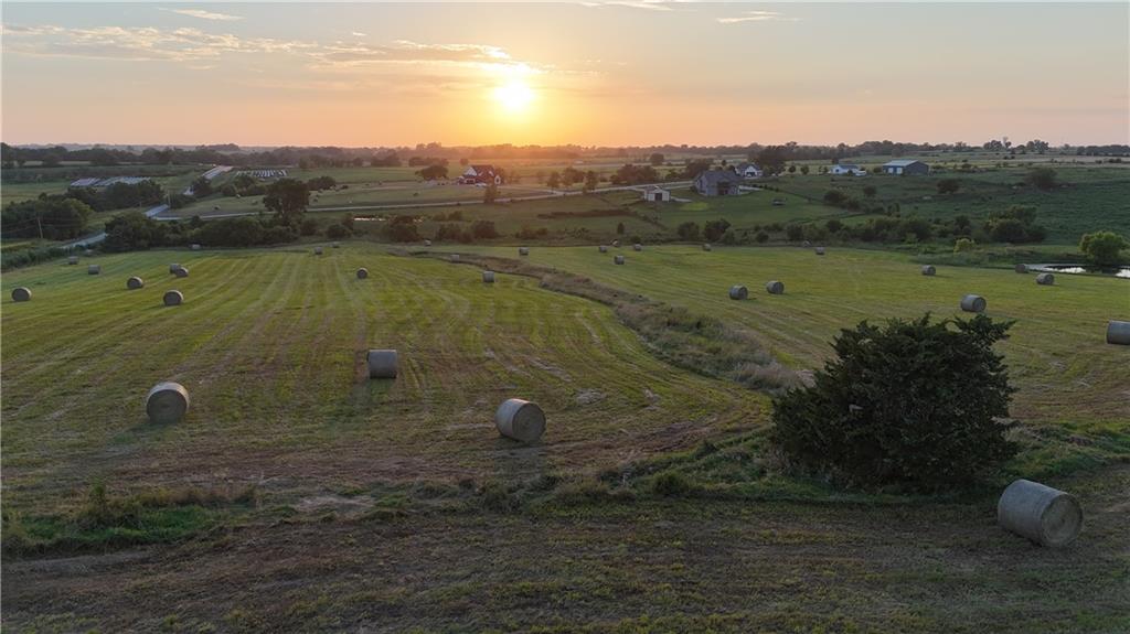 Listing Photo MLS #HMS2569368