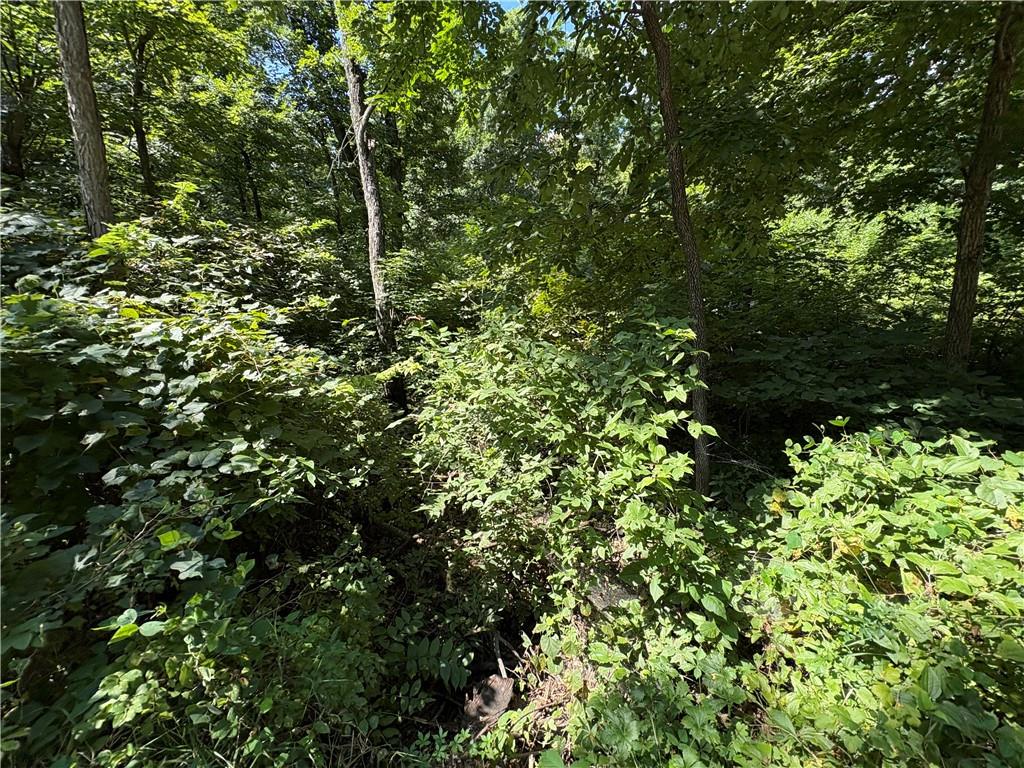 Listing Photo MLS #HMS2570058