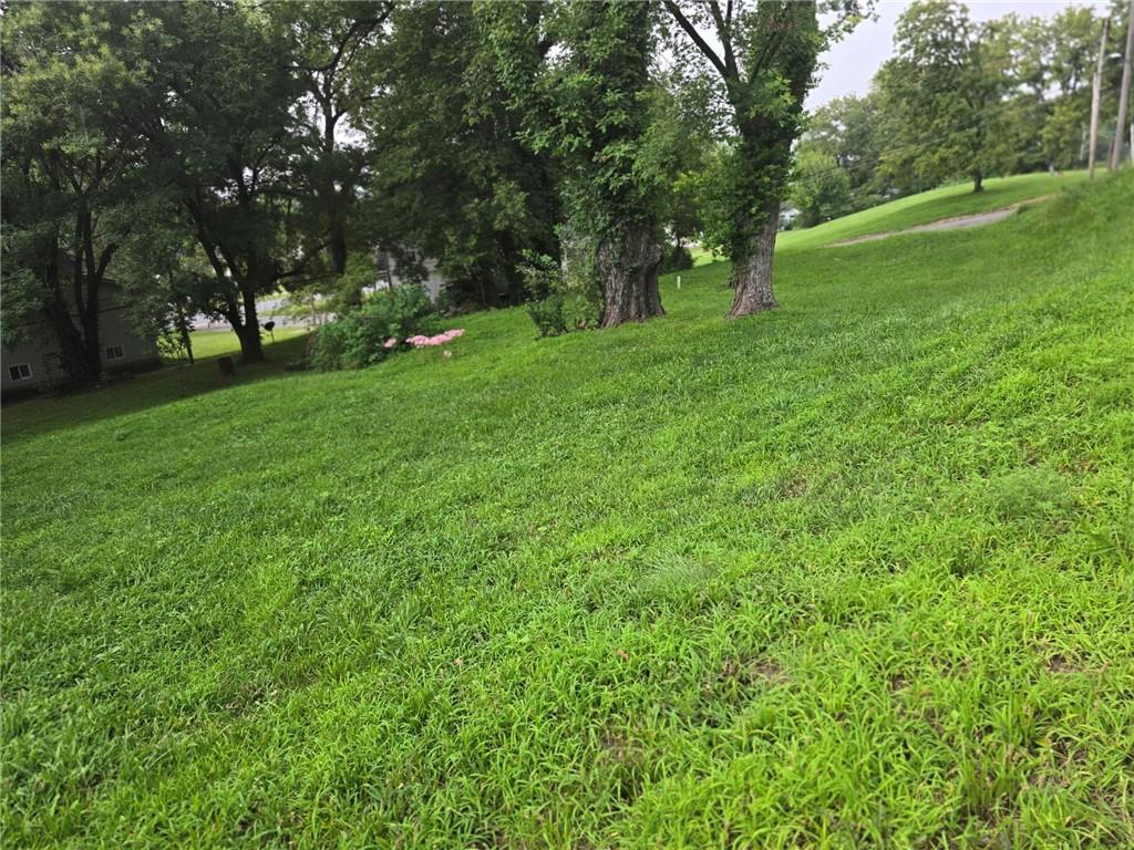 Listing Photo MLS #HMS2571261