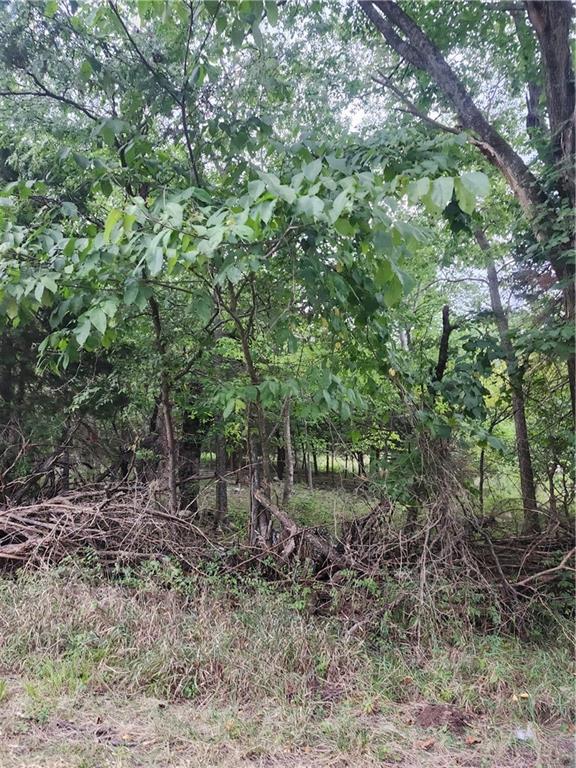 Listing Photo MLS #HMS2571279