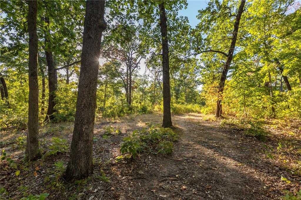 Listing Photo MLS #HMS2571780