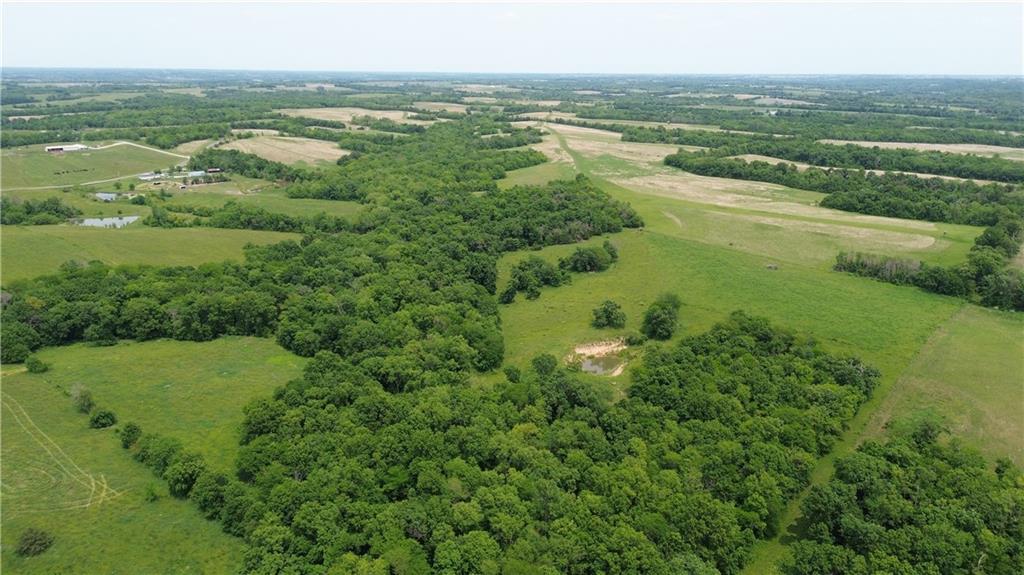 Listing Photo MLS #HMS2572465