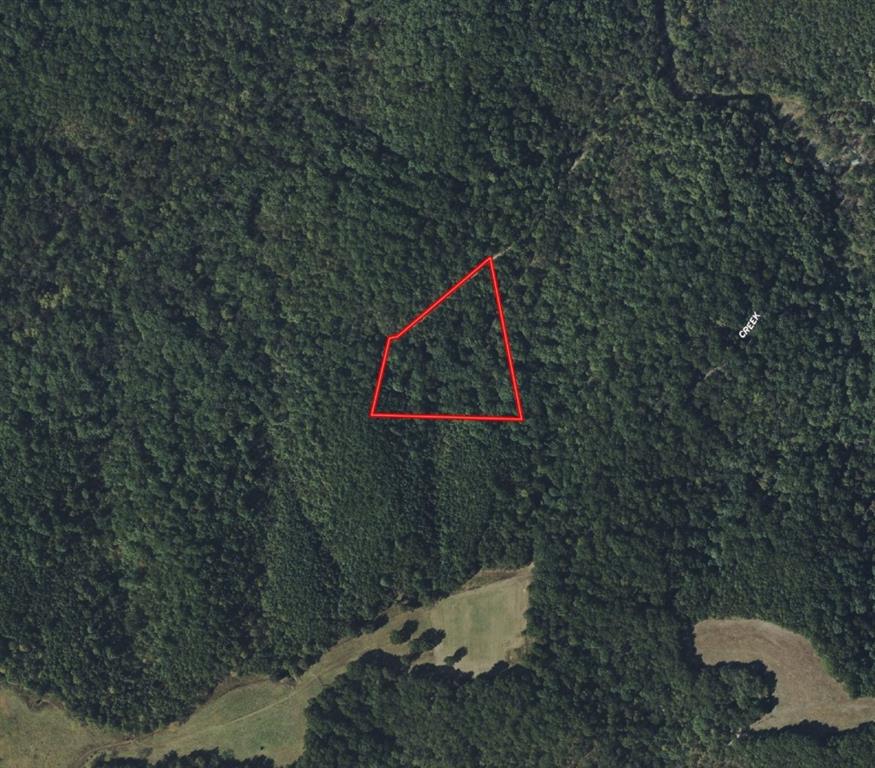 Listing Photo MLS #HMS2573978