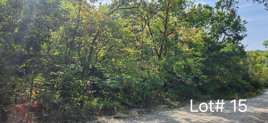 Listing Photo MLS #HMS2575654