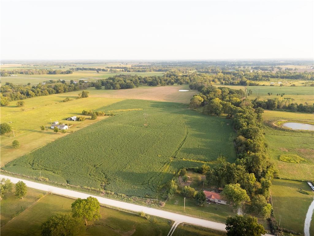 Listing Photo MLS #HMS2575689