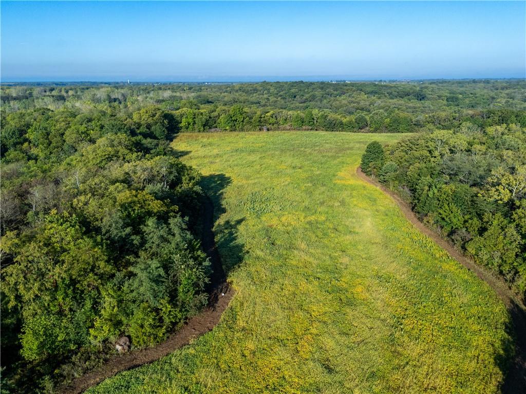 Listing Photo MLS #HMS2576902