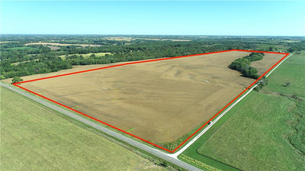 Listing Photo MLS #HMS2578109