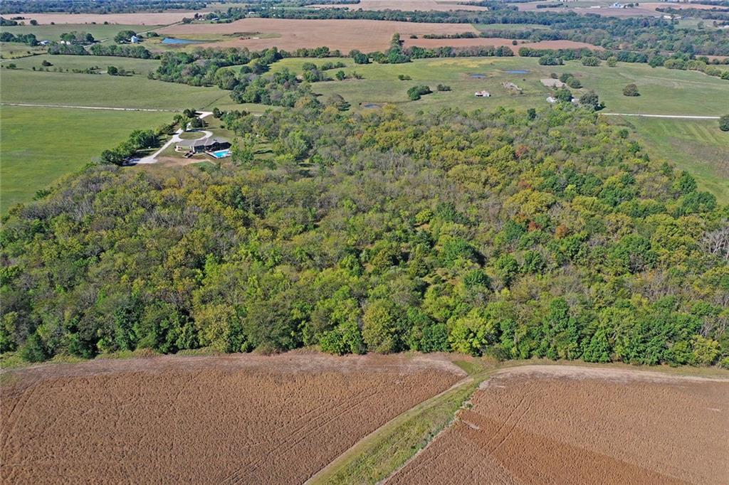 Listing Photo MLS #HMS2578312