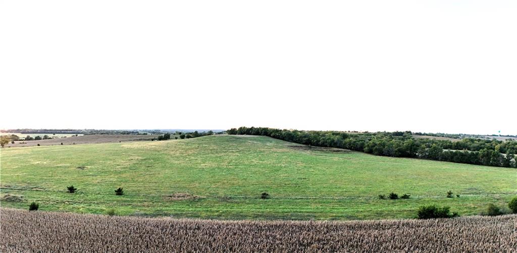 Listing Photo MLS #HMS2579747