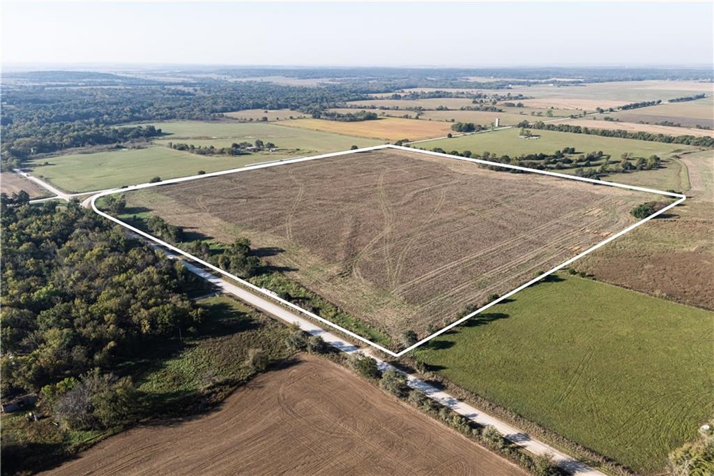 Listing Photo MLS #HMS2579772