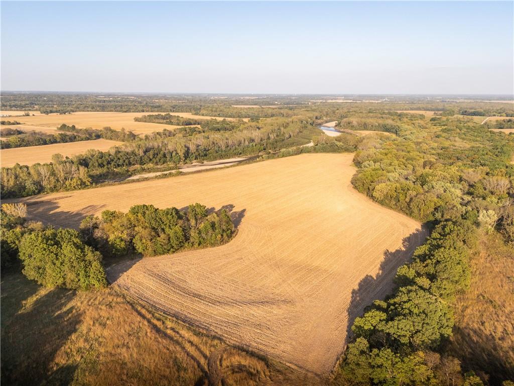 Listing Photo MLS #HMS2581015