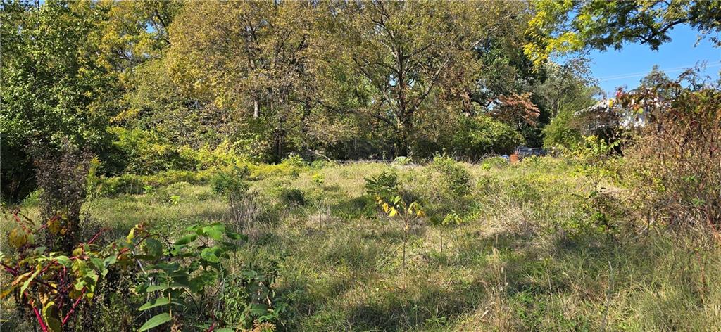 Listing Photo MLS #HMS2582401