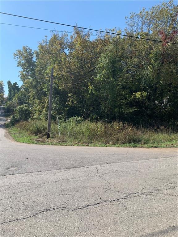 Listing Photo MLS #HMS2582805