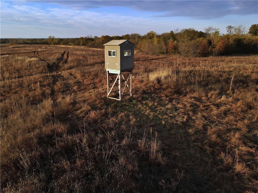 Listing Photo MLS #HMS2585205