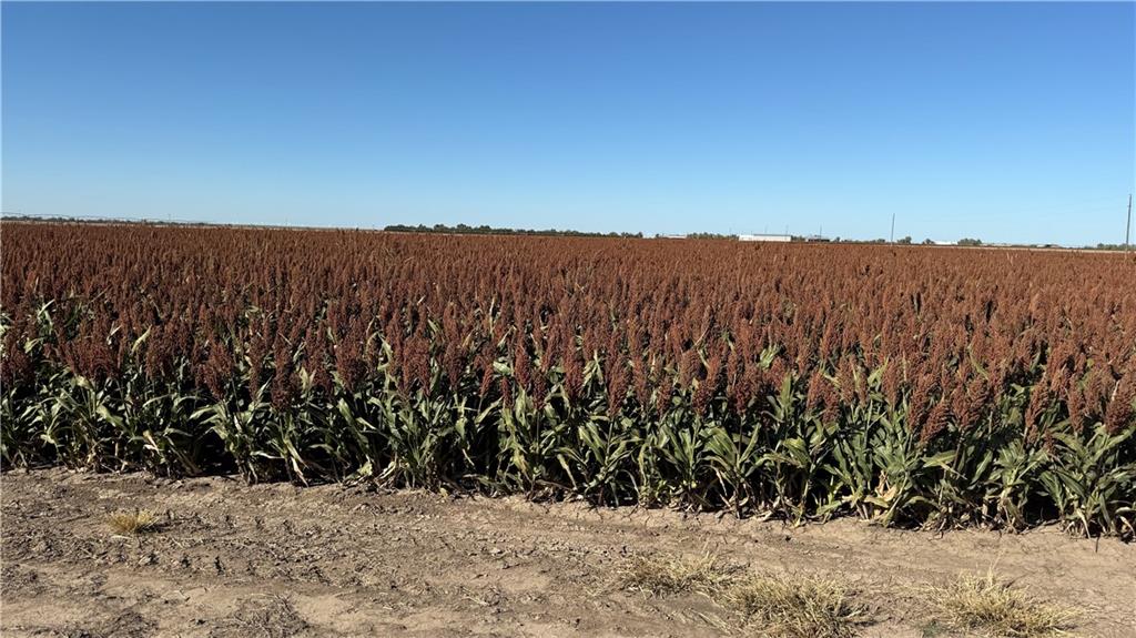 Listing Photo MLS #HMS2587138