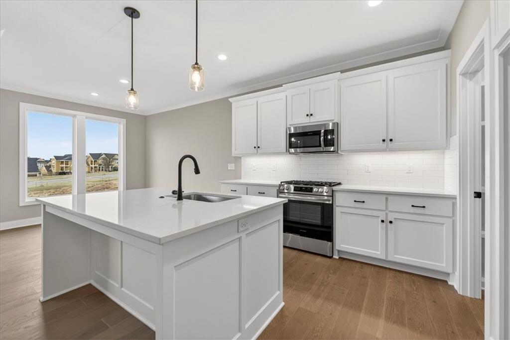 Listing Photo MLS #HMS2589229