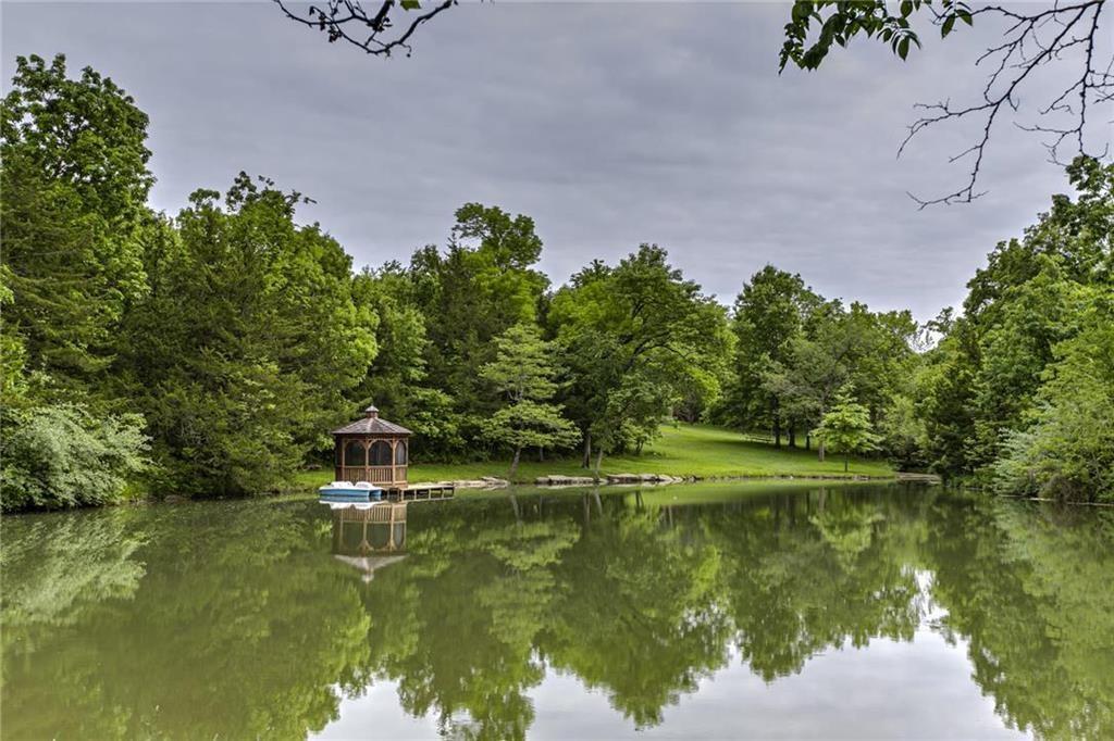 Listing Photo MLS #HMS2591400