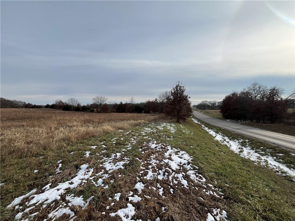 Listing Photo MLS #HMS2591488